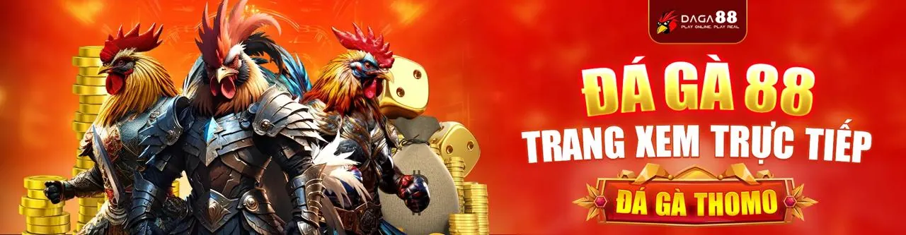 Đá Gà vz88 login: Trận đấu kịch tính